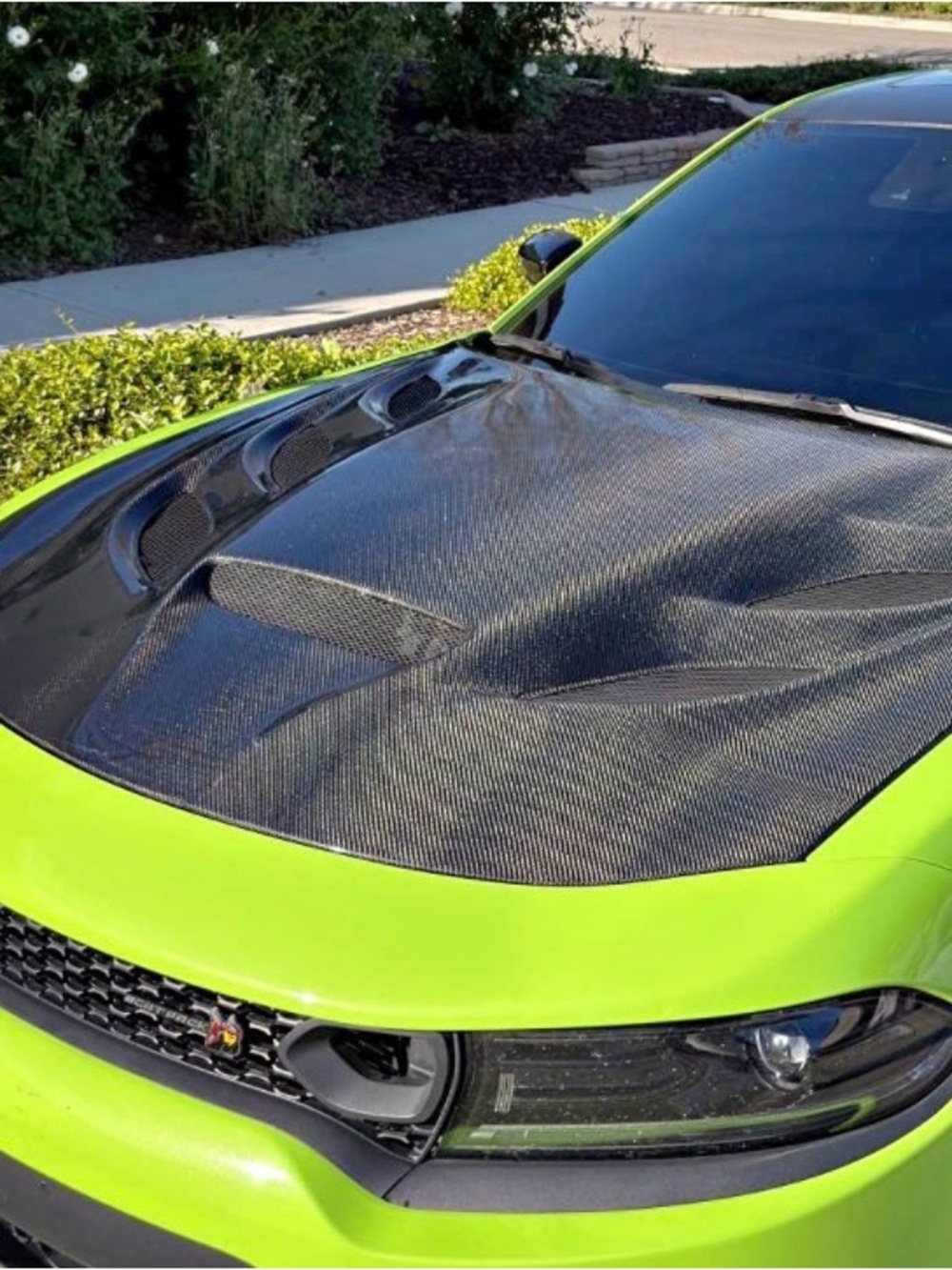 Carbon (SCAT ONLY) hood